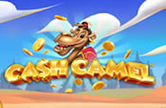 Cash Camel