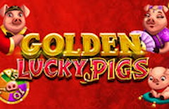 Golden Lucky Pigs