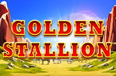 Golden Stallion