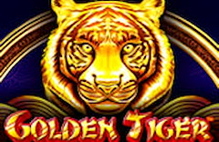 Golden Tiger