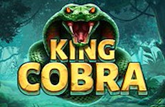 King Cobra