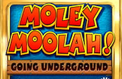 Moley Moolah: Going Underground