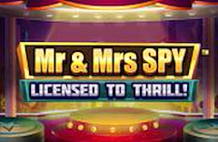 Mr & Mrs Spy