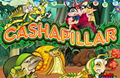 Cashapillar