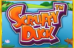 Scruffy Duck