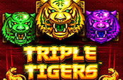 Triple Tigers