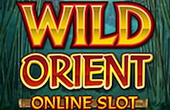 Wild Orient