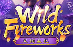 Wild Fireworks