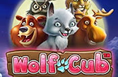 Wolf Cub