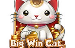 Big Win Cat