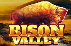 Bison Valley