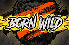 Born WILD