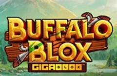 Buffalo Blox Gigabox