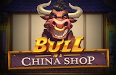 Bull in a China Shop