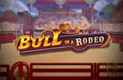 Bull in a Rodeo