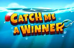 Catch me a Winner