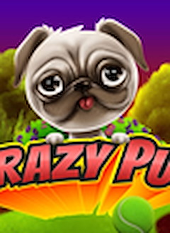 Crazy Pug