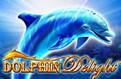 Dolphin Delight