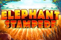 Elephant Stampede