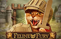 Feline Fury
