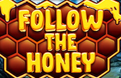 Follow the Honey