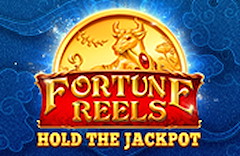 Fortune Reels