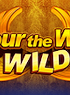 Four the Win Wild