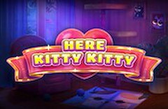 Here Kitty Kitty
