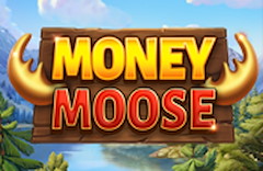 Money Moose