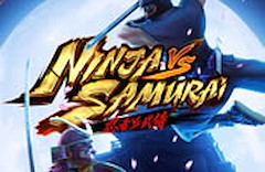 Ninja vs Samurai
