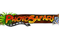 Photo Safari