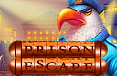Prison Escape