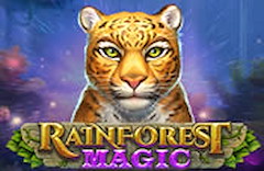 Rainforest Magic