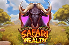 Safari of Wealth