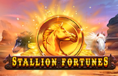 Stallion Fortunes