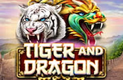 Tiger and Dragon