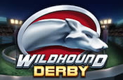 Wildhound Derby