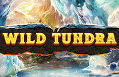 Wild Tundra