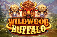 Wild Wood Buffalo