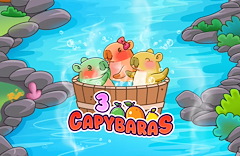 3 Capybaras