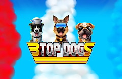 3 Top Dogs