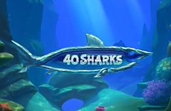 40 Sharks