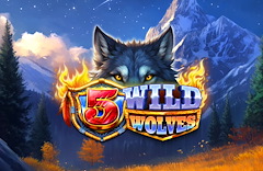 5 Wild Wolves