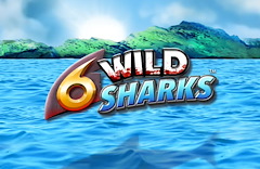 6 Wild Sharks