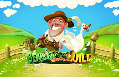 Beanstalk Grows Wild