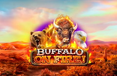 Buffalo on fire!