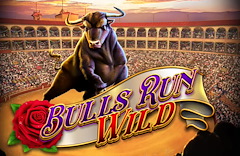 Bulls Run Wild