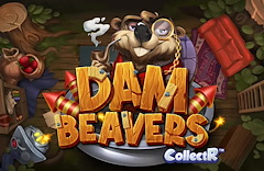 Dam Beavers