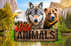 Wild Animals