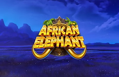 African Elephant
